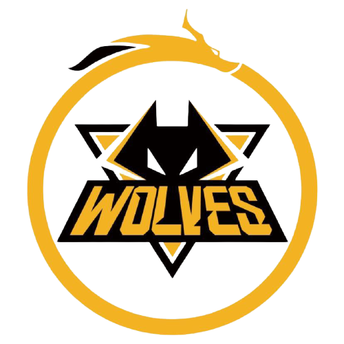 正是骑士队 正是骑士队